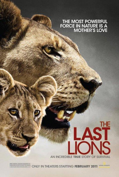 Постер фильма Последние львы | Last Lions