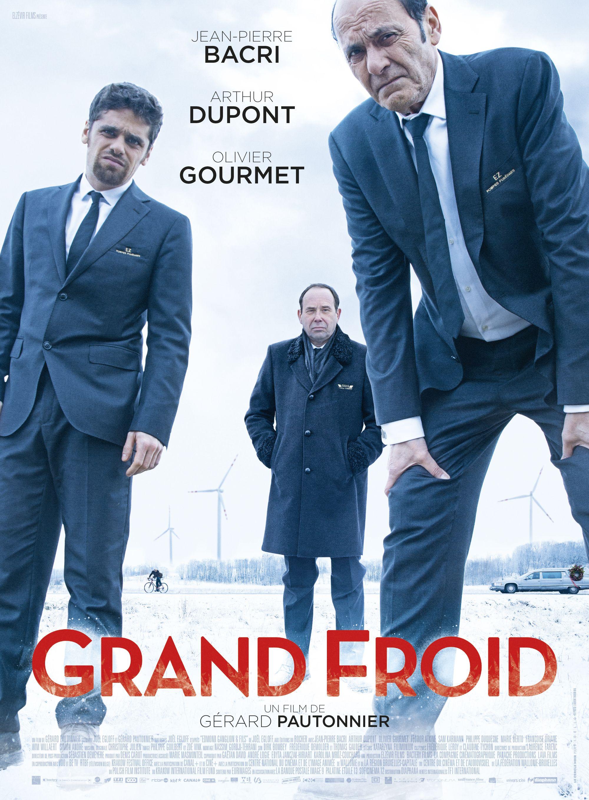 Постер фильма Grand froid 