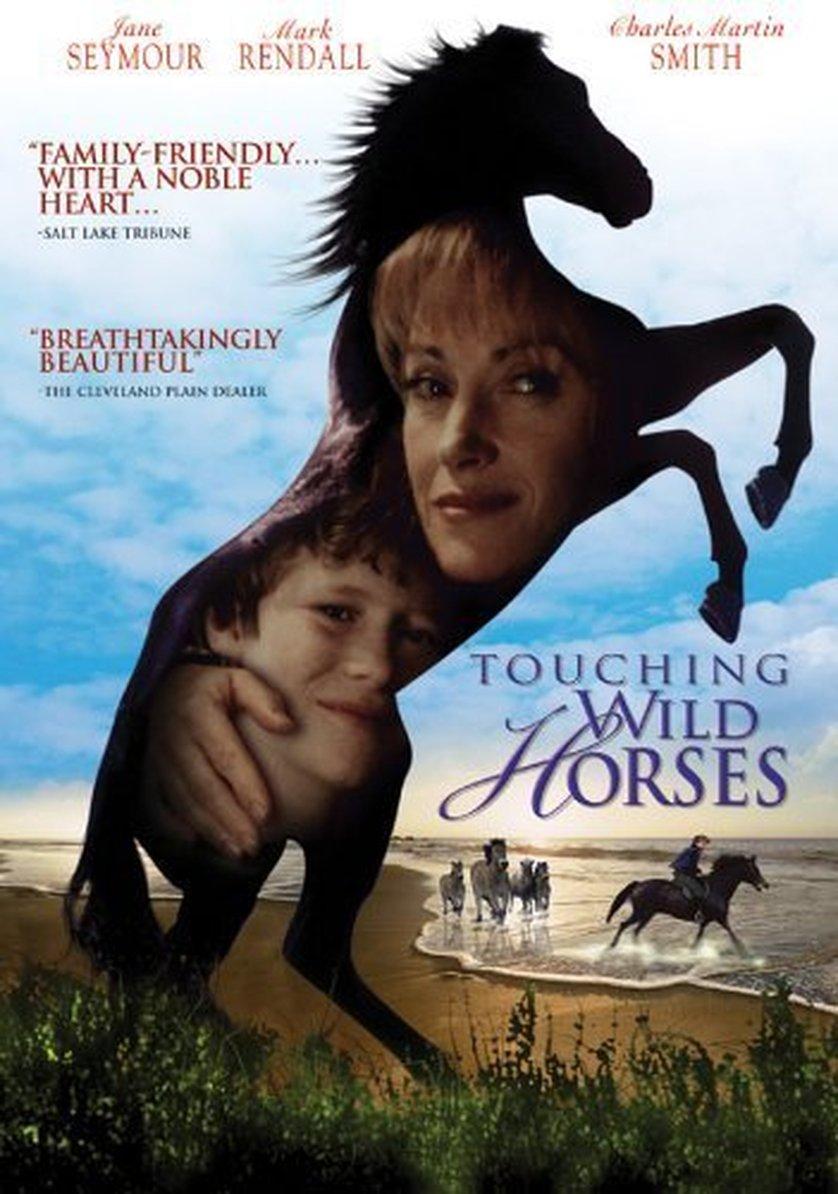 Постер фильма Дикие лошади | Touching Wild Horses