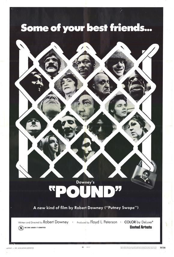 Постер фильма Загон | Pound