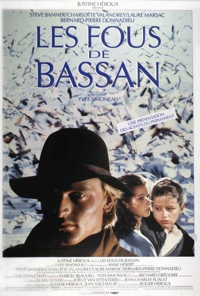 Постер фильма В тени ветра | Les fous de Bassan