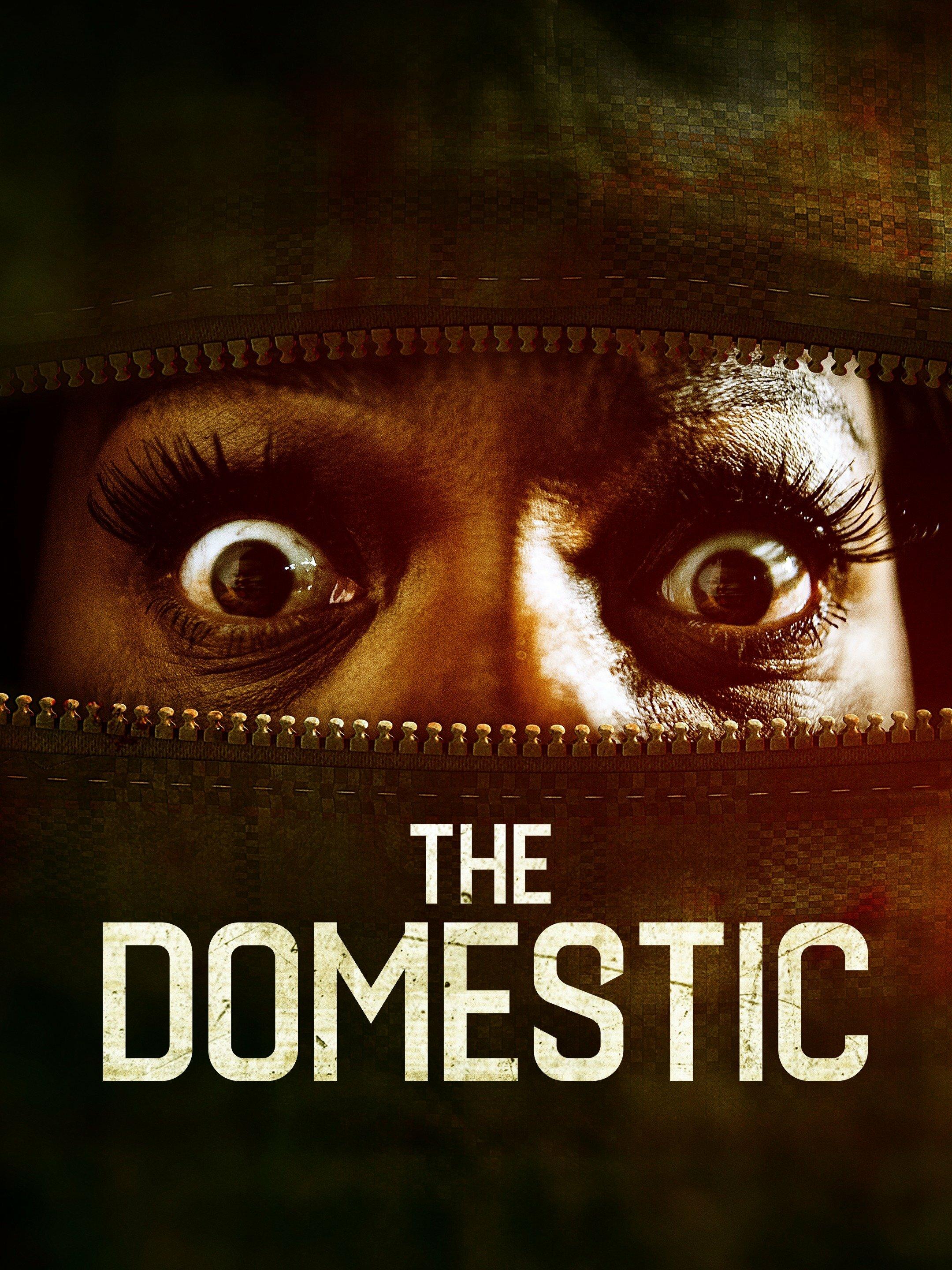 Постер фильма The Domestic