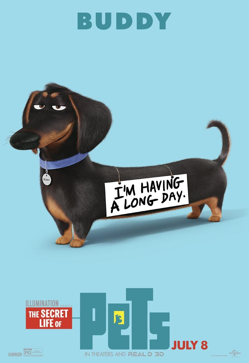 Постер фильма Тайная жизнь домашних животных | Secret Life of Pets