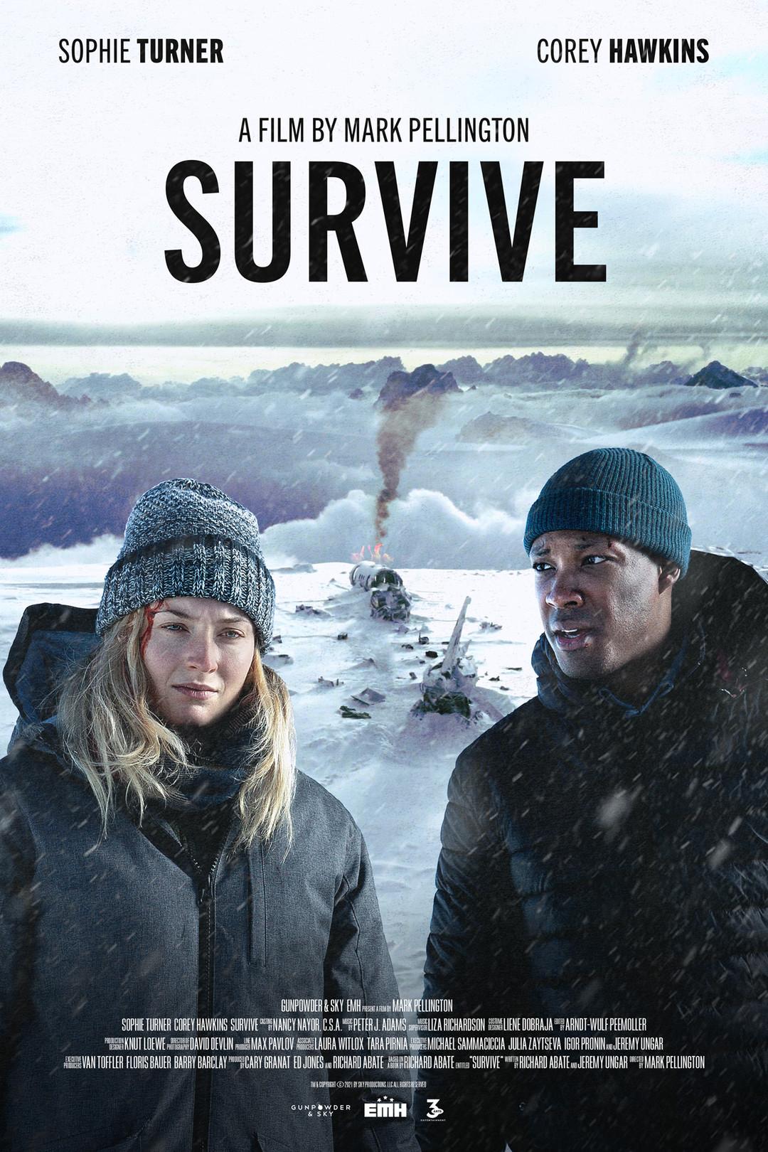 Постер фильма Выжить | Survive