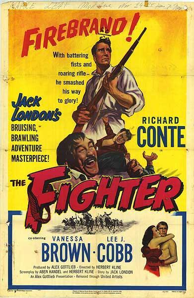 Постер фильма Fighter