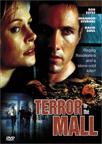 Постер фильма Темный дождь | Terror in the Mall