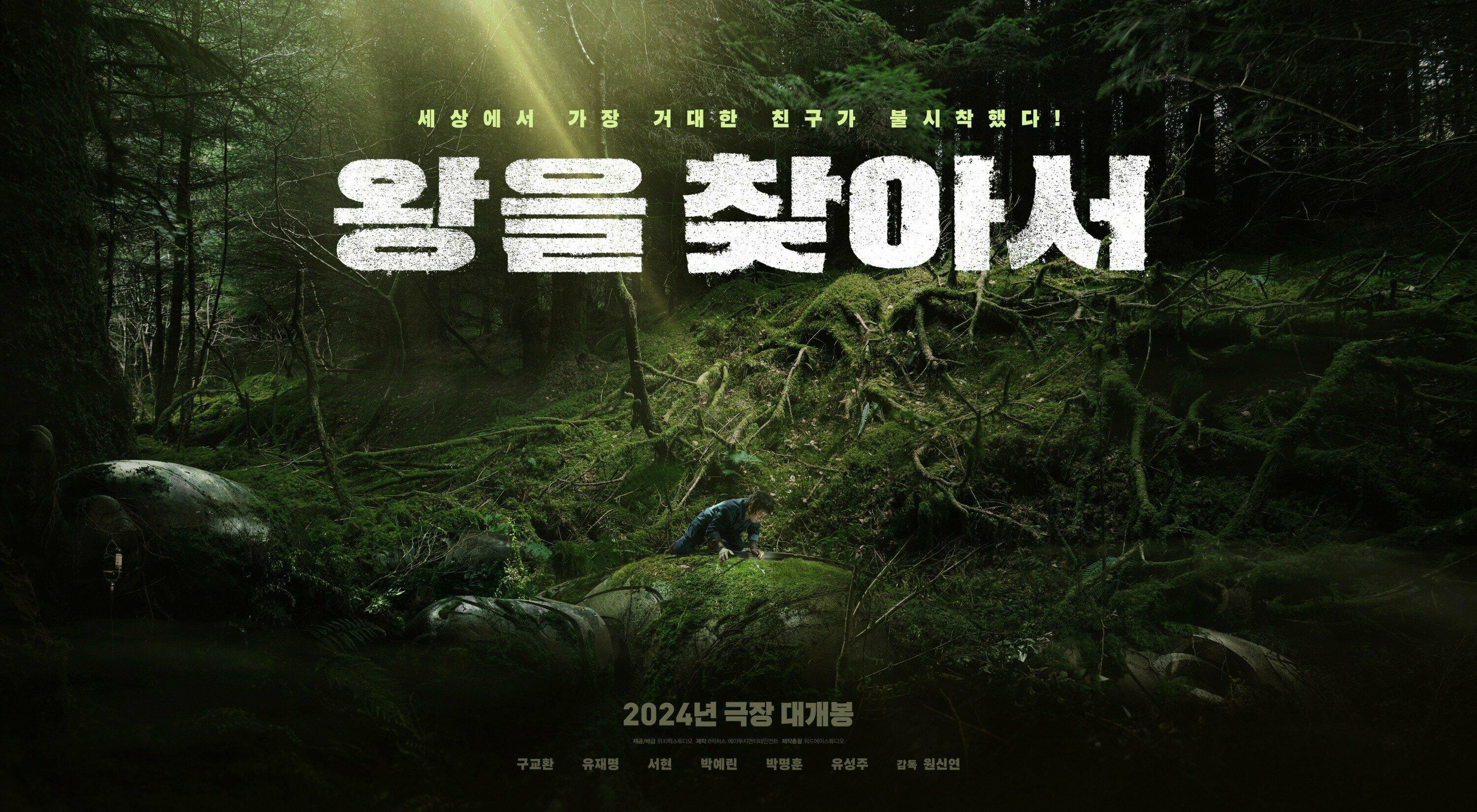 Постер фильма Найти короля | Wangeul chajaseo