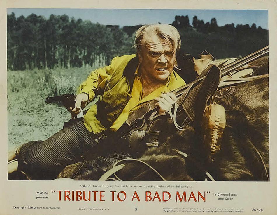Постер фильма Tribute to a Bad Man