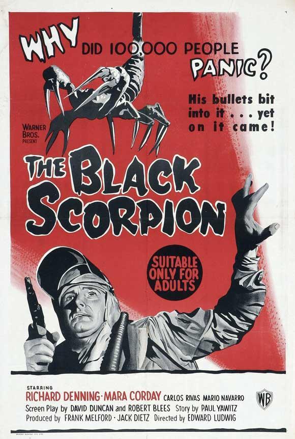 Постер фильма Черный скорпион | Black Scorpion