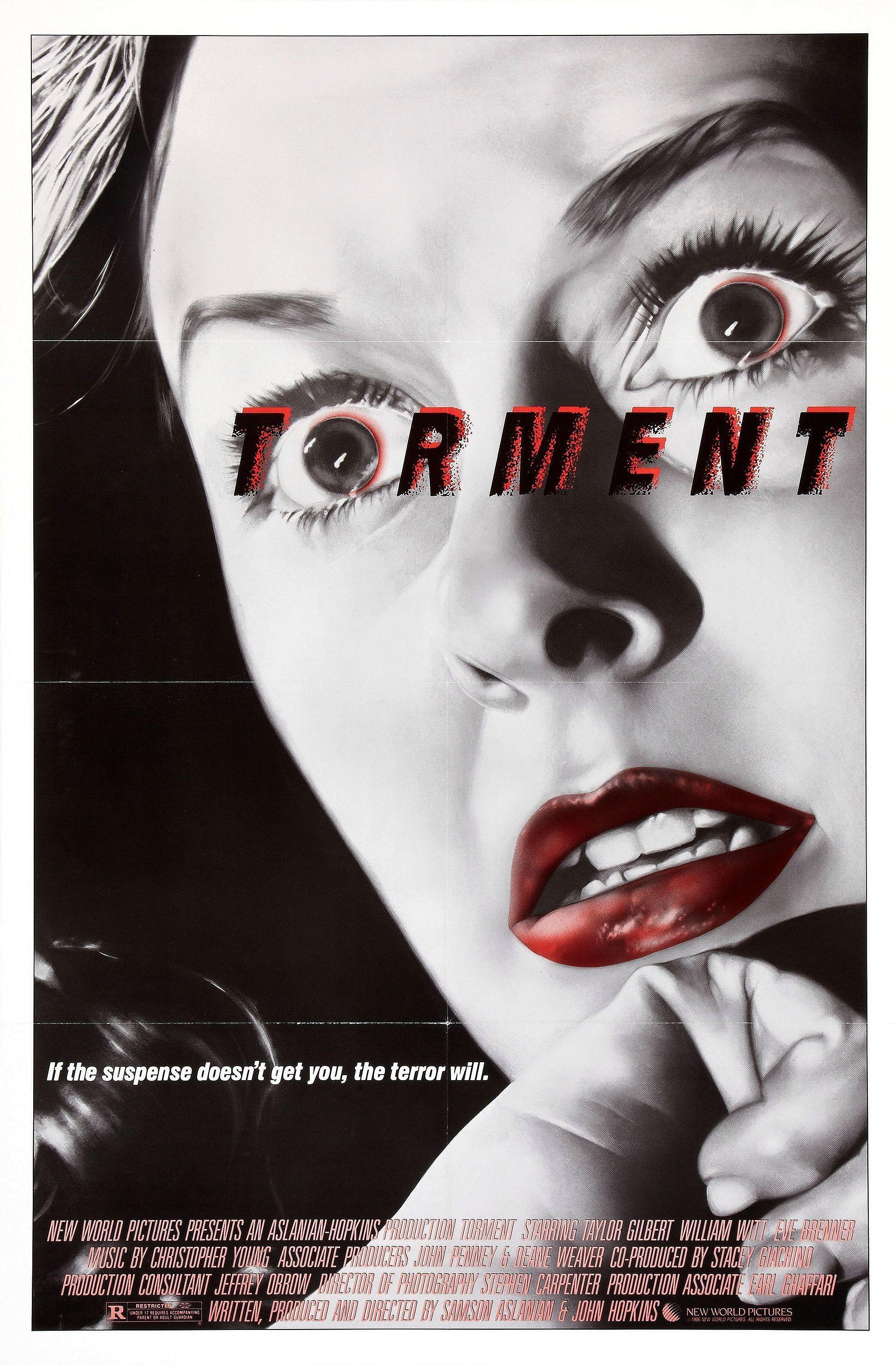 Постер фильма Torment