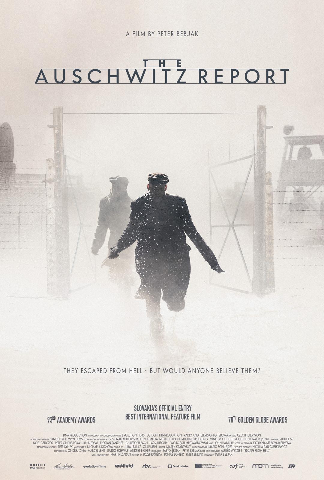 Постер фильма Протокол Освенцима | The Auschwitz Report