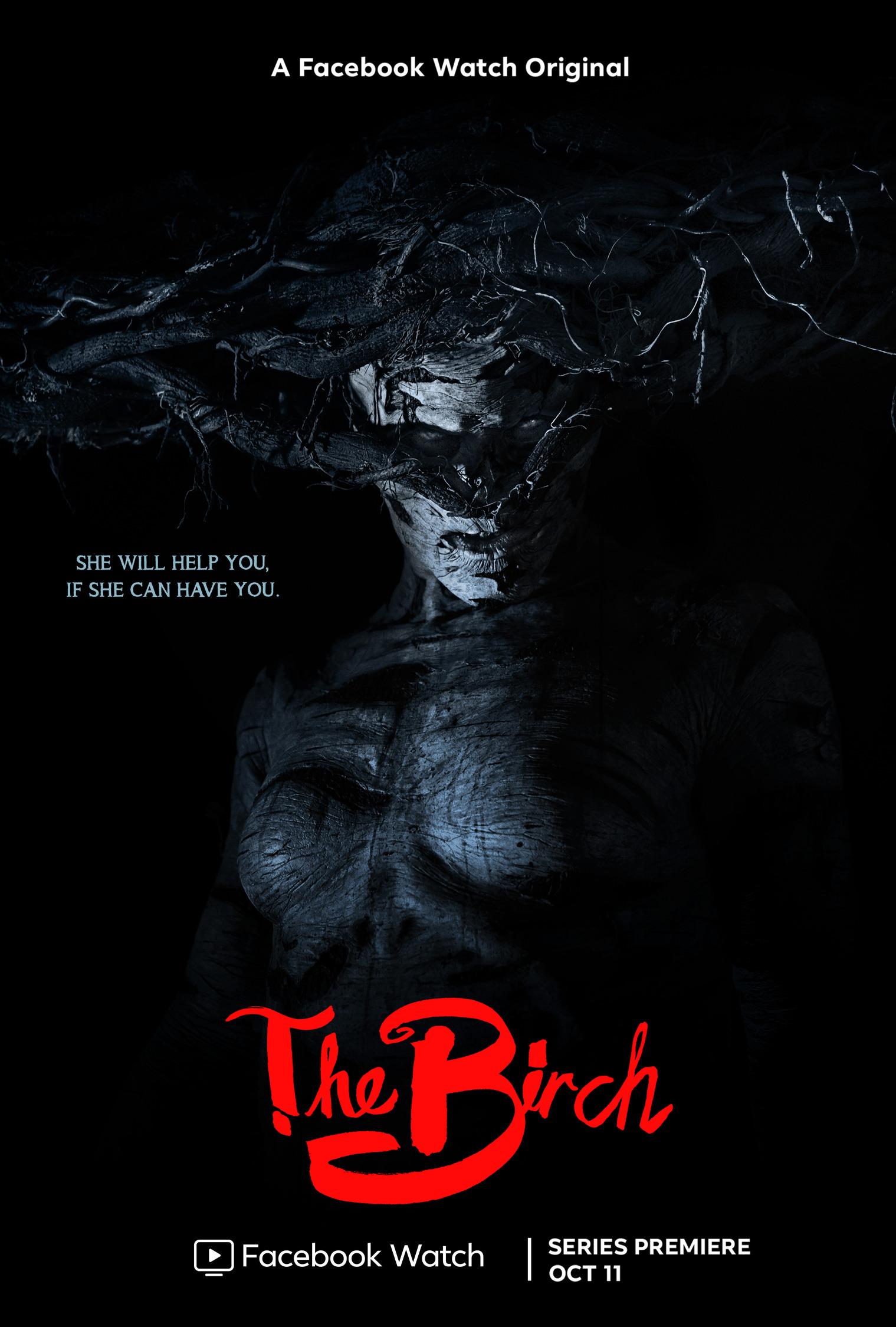Постер фильма Береза | The Birch