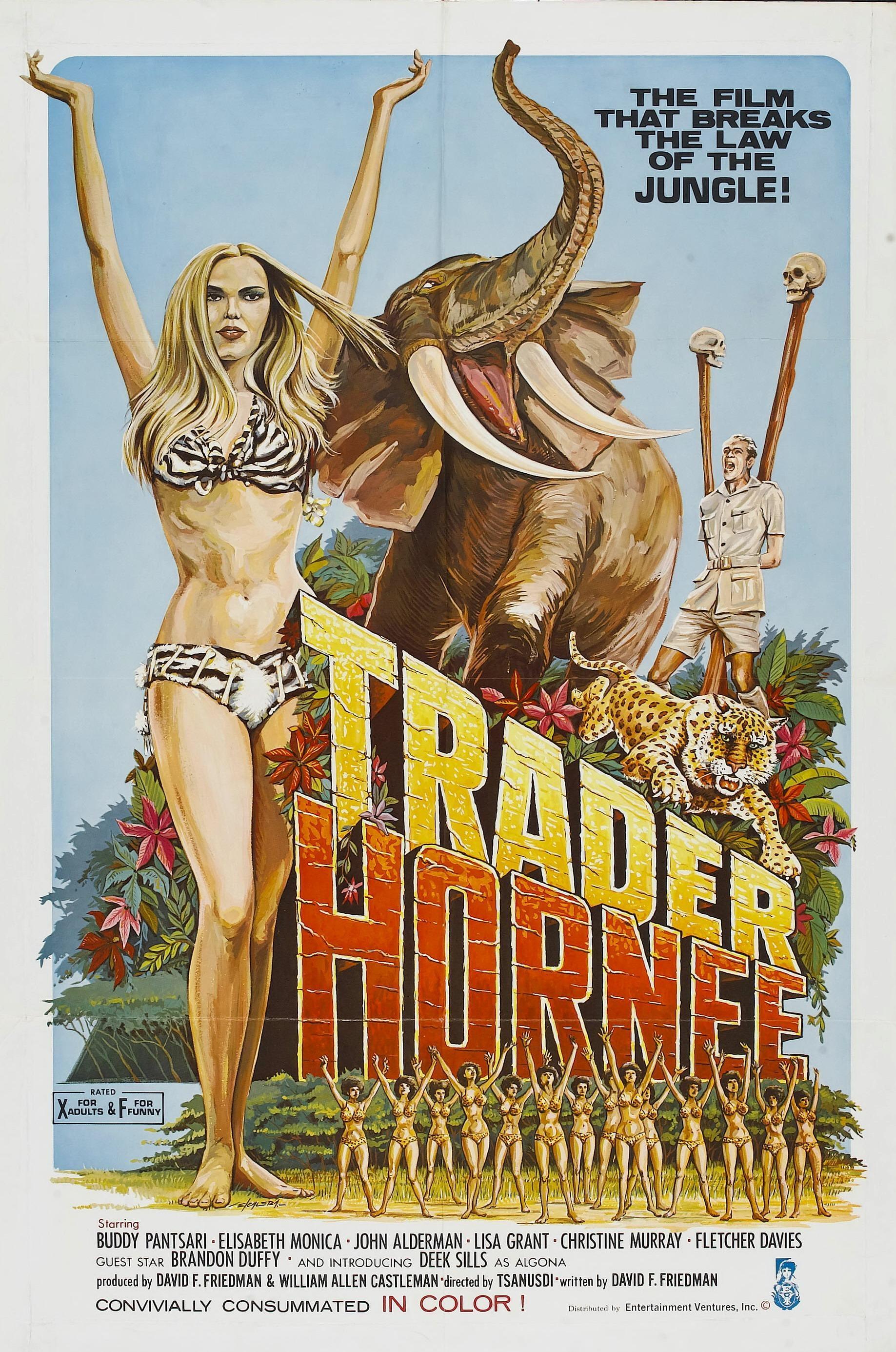 Постер фильма Trader Hornee