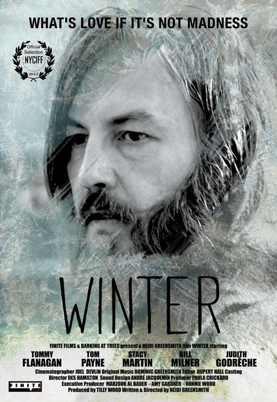 Постер фильма Зима | Winter