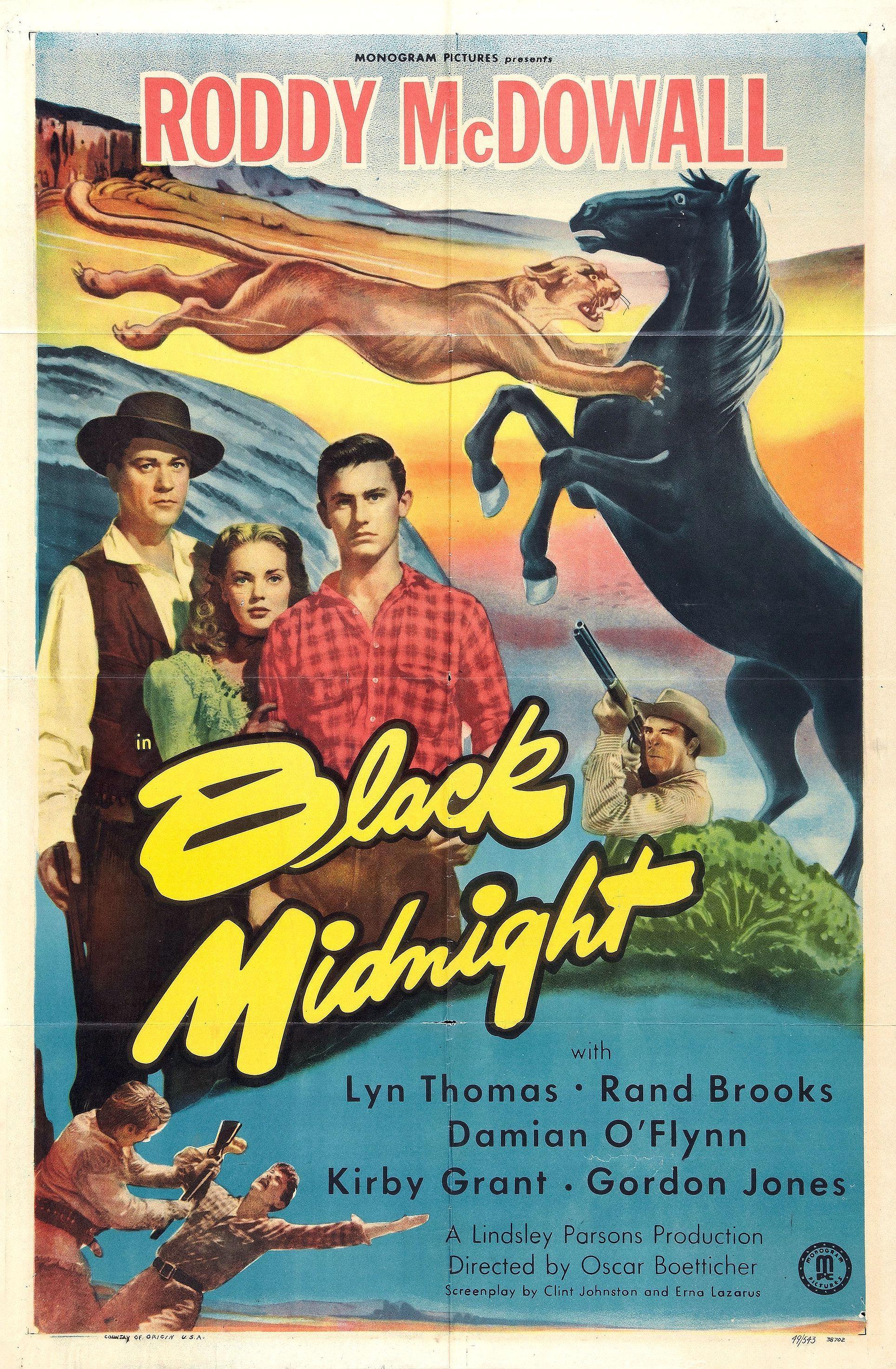 Постер фильма Black Midnight