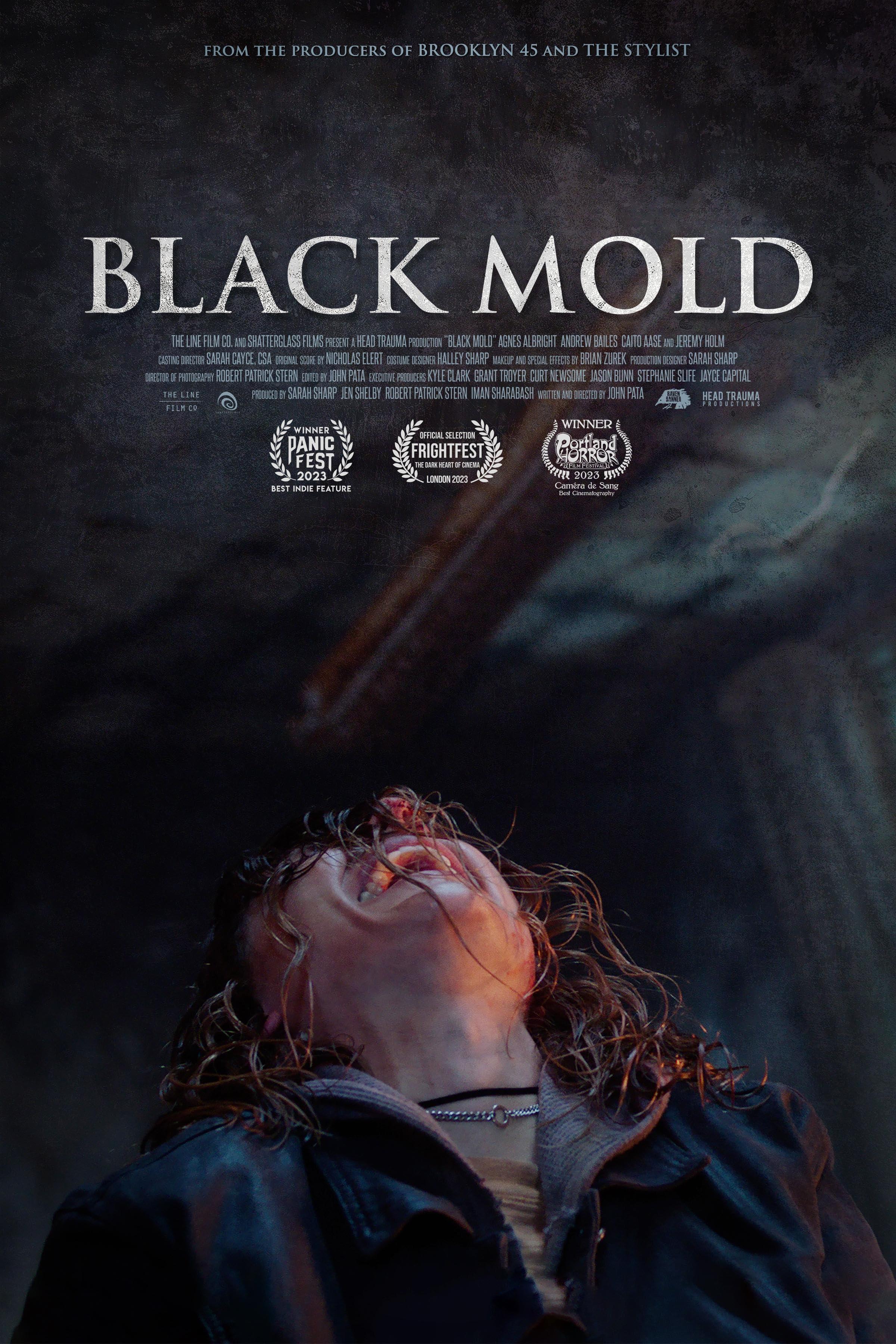 Постер фильма Сталкер. Черная плесень | Black Mold