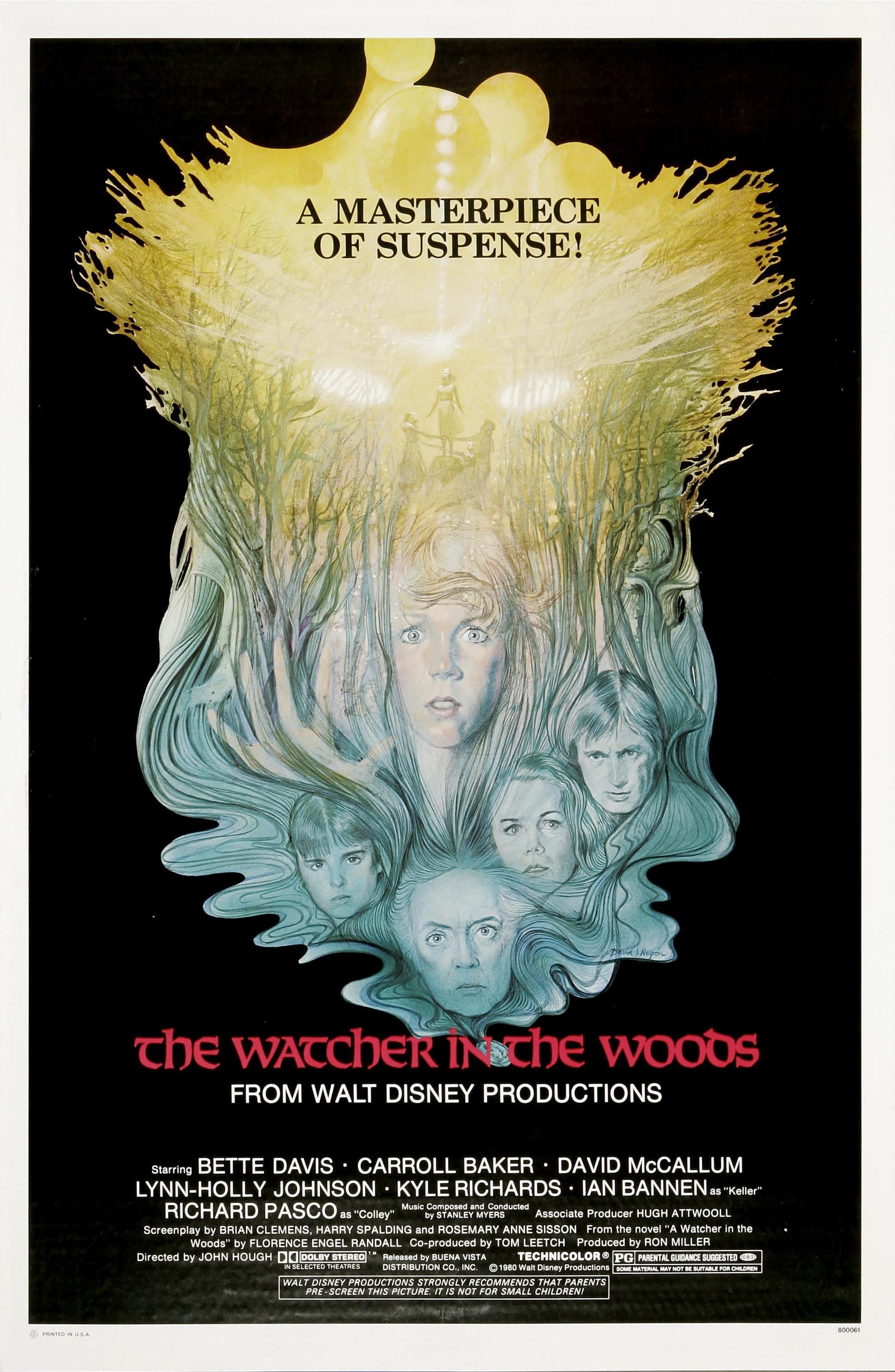 Постер фильма Наблюдатель в лесу | Watcher in the Woods