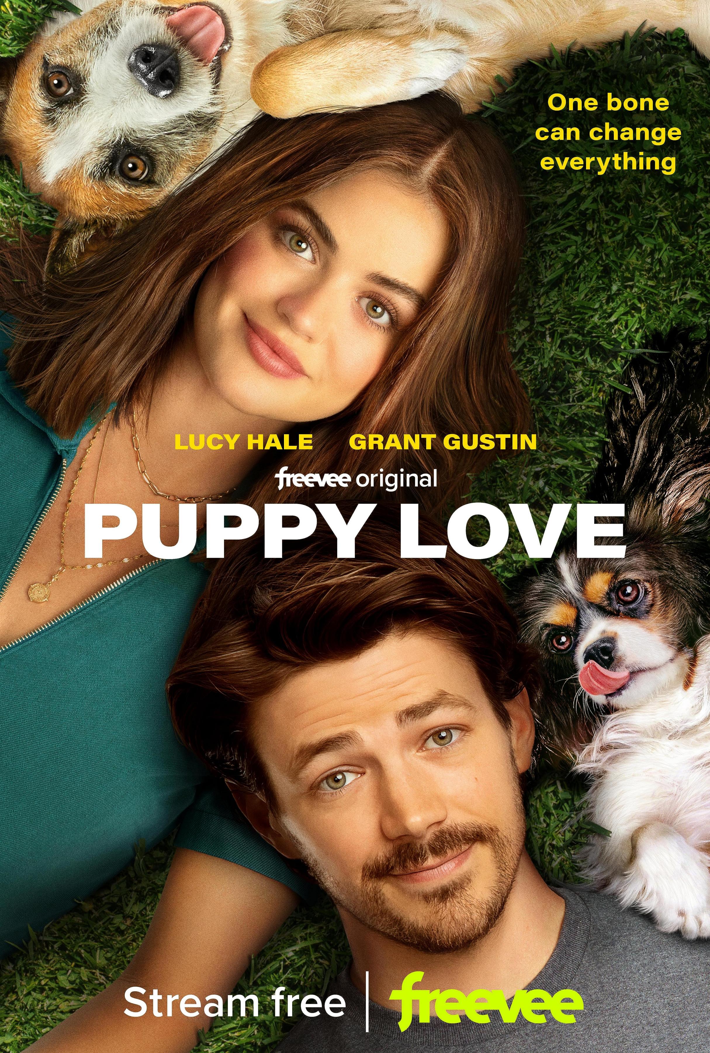 Постер фильма Щенячья любовь | Puppy Love