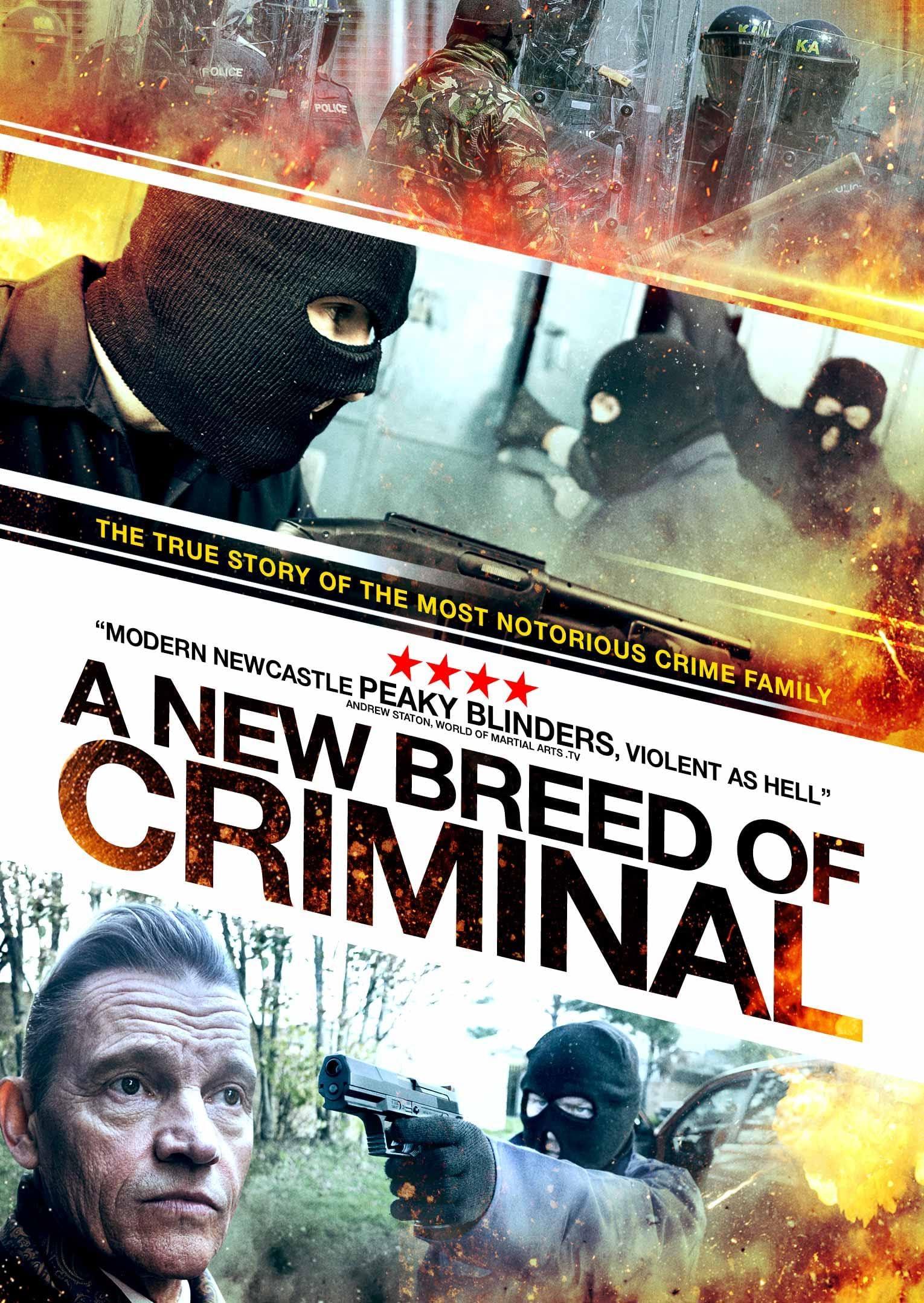 Постер фильма Преступники: Высший уровень | A New Breed of Criminal