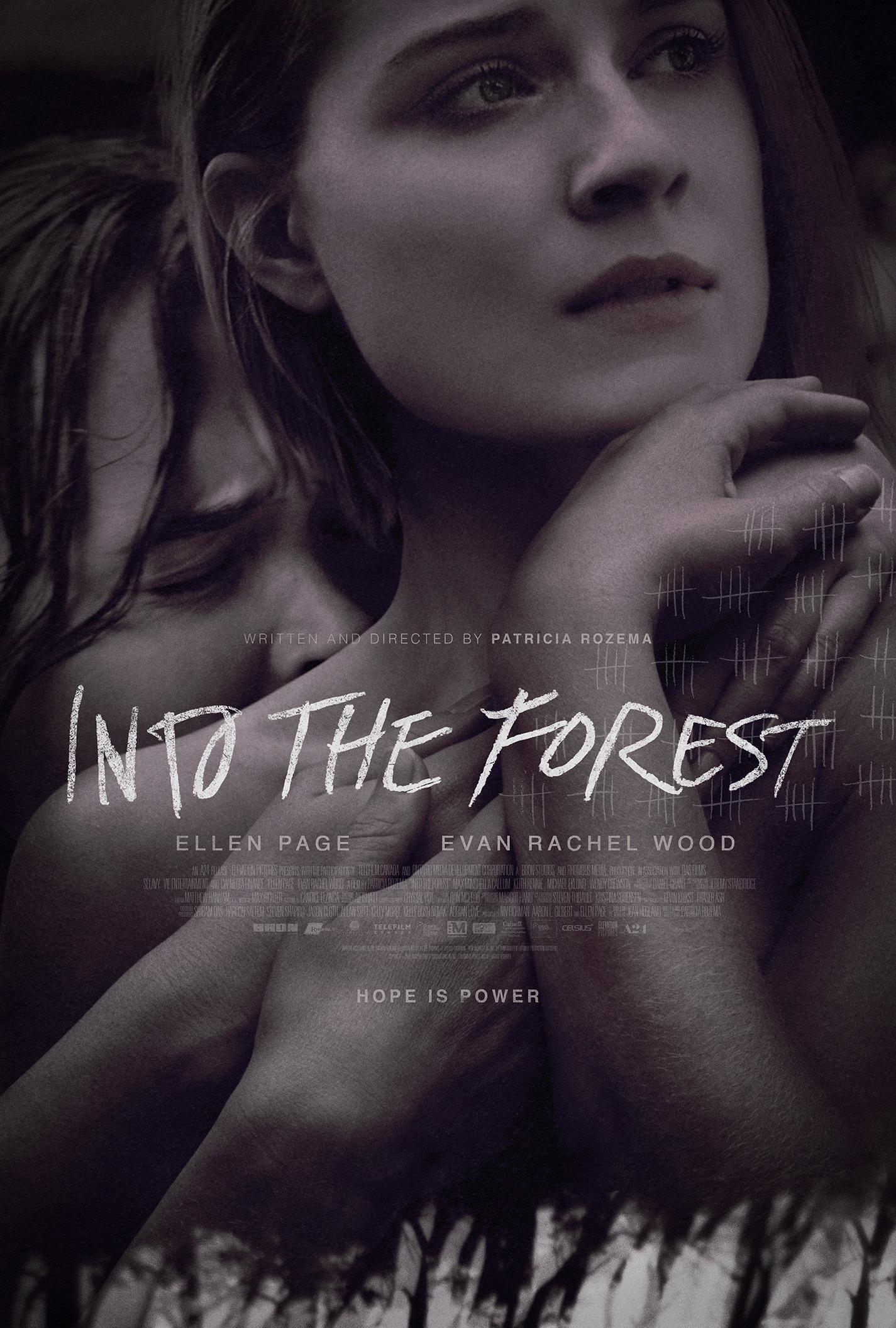 Постер фильма В лесу | Into the Forest