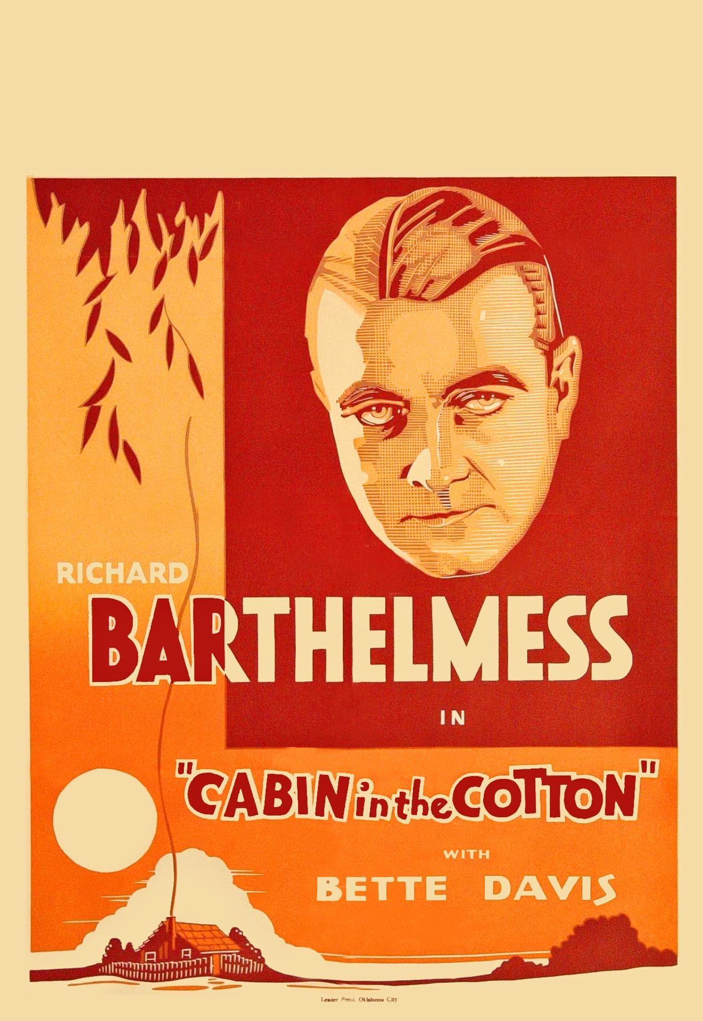 Постер фильма Тени к югу | Cabin in the Cotton