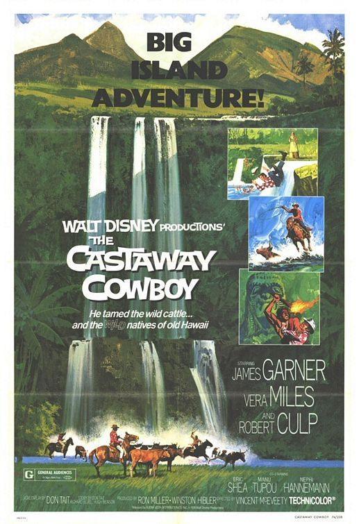 Постер фильма Ковбои-изгои | Castaway Cowboy