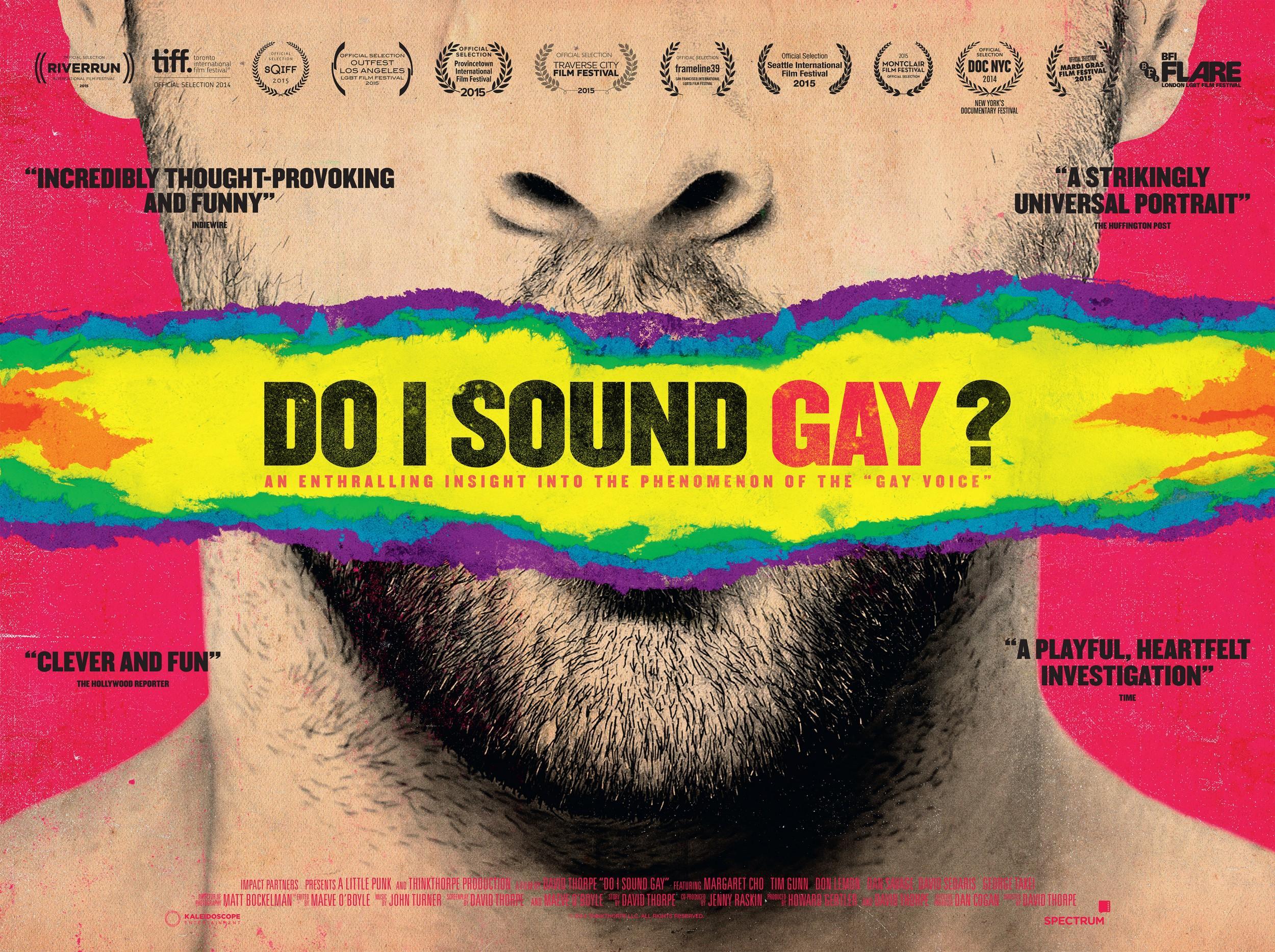 Постер фильма Do I Sound Gay?