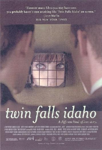 Постер фильма Twin Falls Idaho