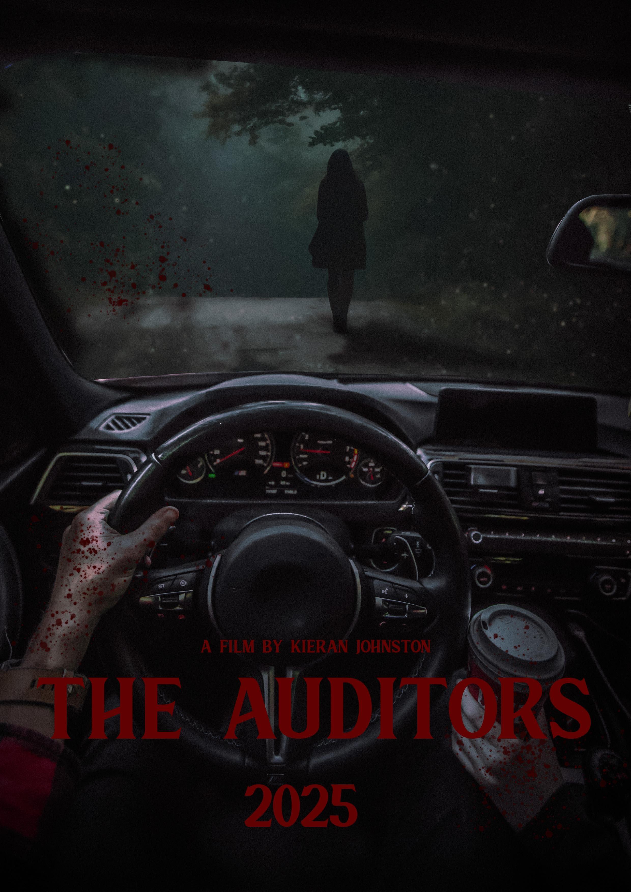 Постер фильма Аудиторы | The Auditors