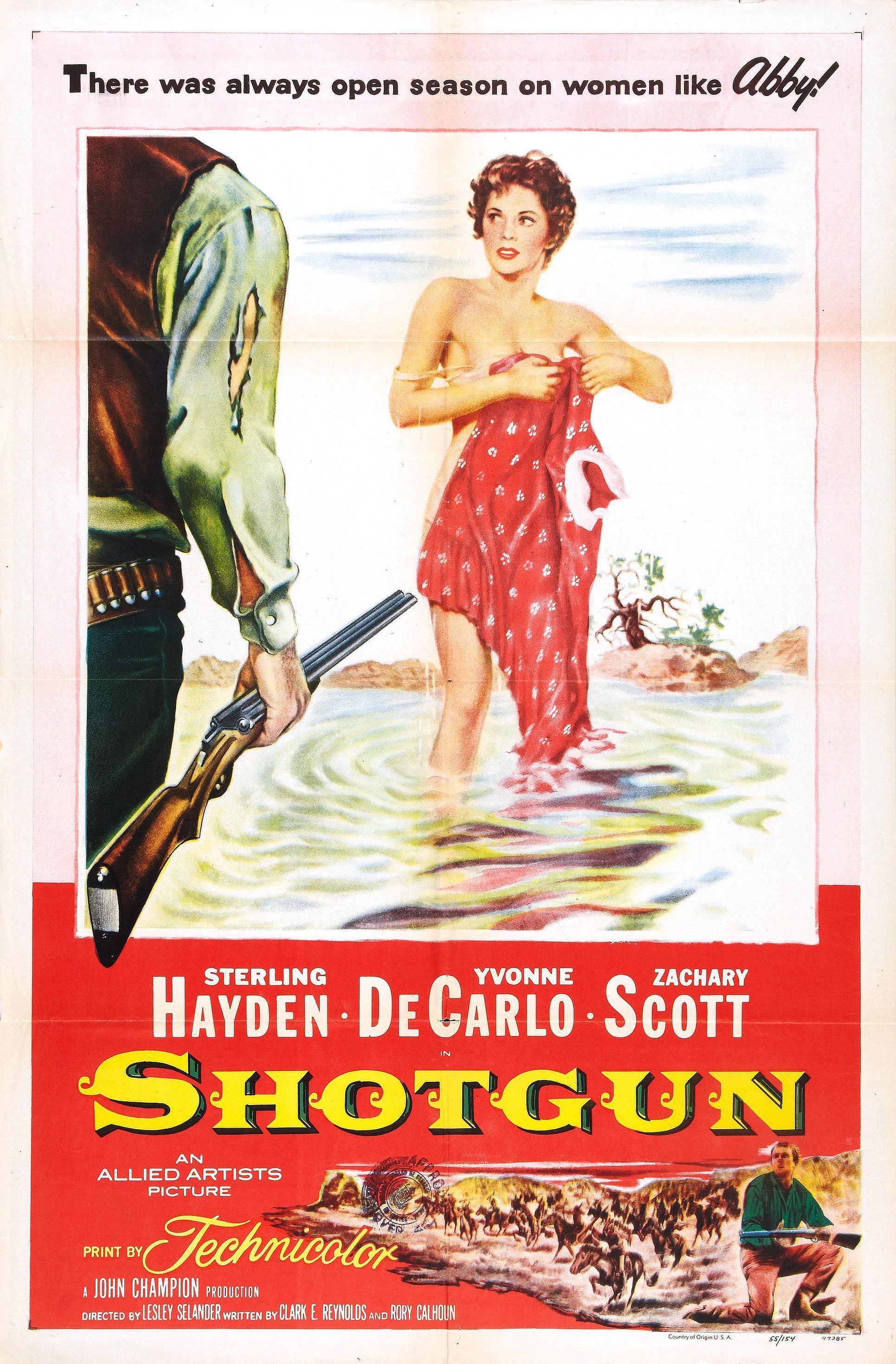 Постер фильма Дробовик | Shotgun