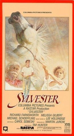 Постер фильма Sylvester