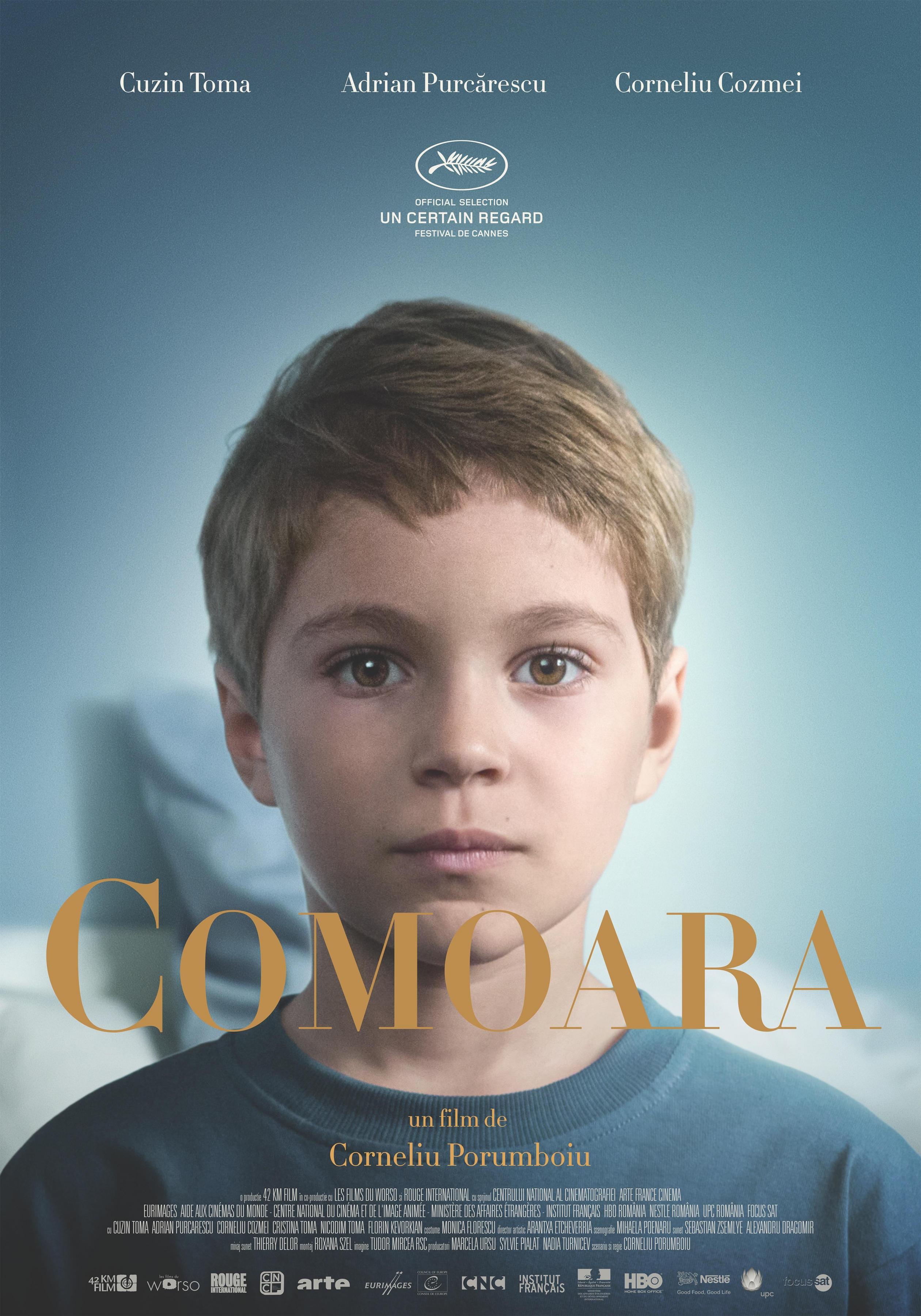 Постер фильма Сокровище | Comoara