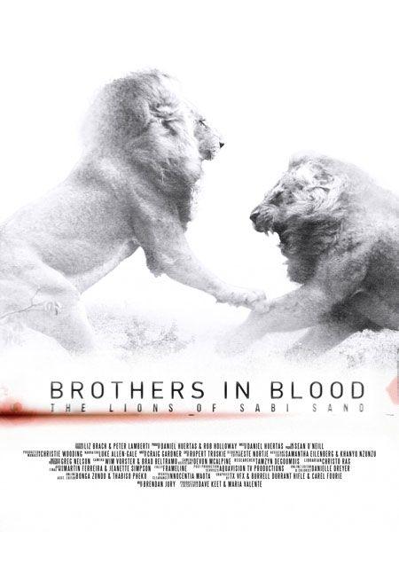 Постер фильма Прирожденные короли | Brothers in Blood: The Lions of Sabi Sand