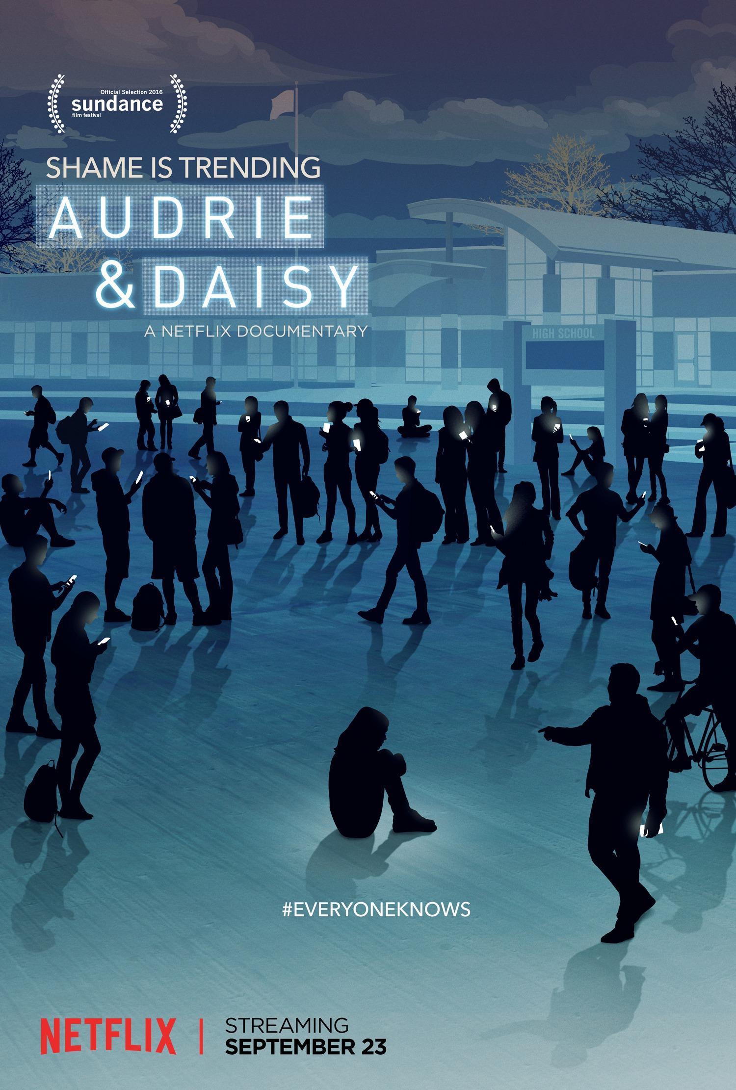 Постер фильма Audrie & Daisy