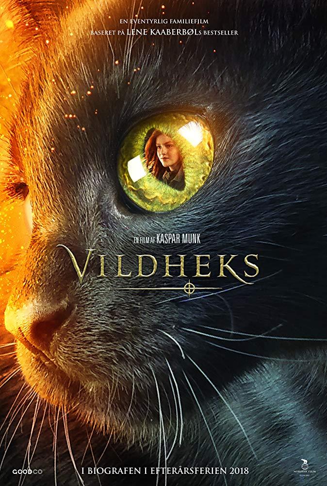 Постер фильма Чародейка | Vildheks