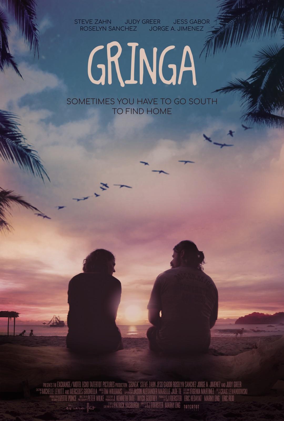 Постер фильма Gringa