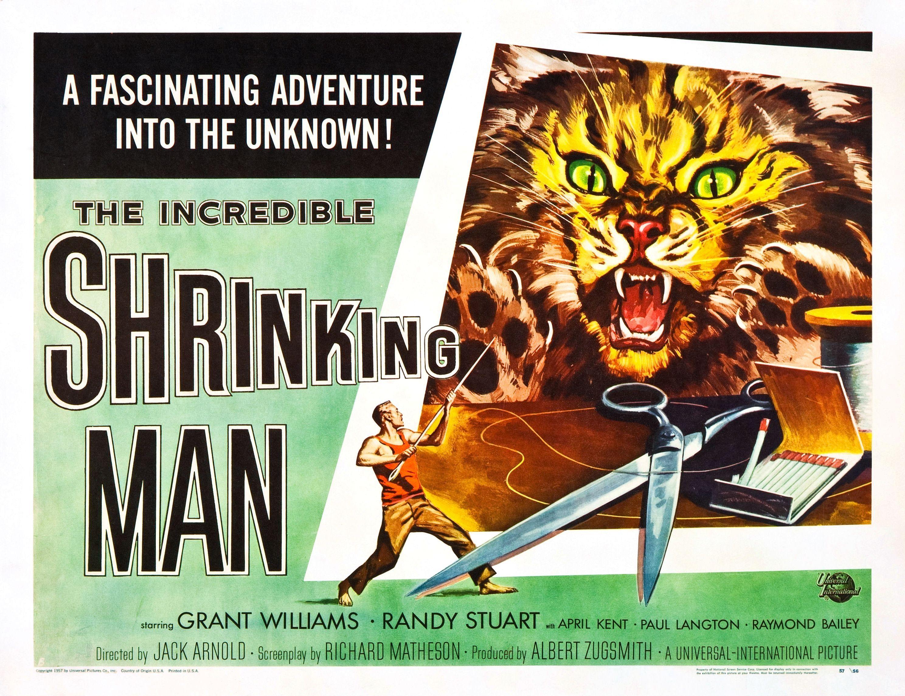 Постер фильма Невероятно худеющий человек | Incredible Shrinking Man