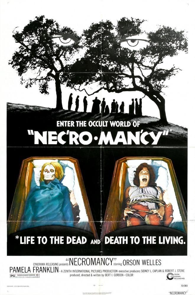 Постер фильма Necromancy