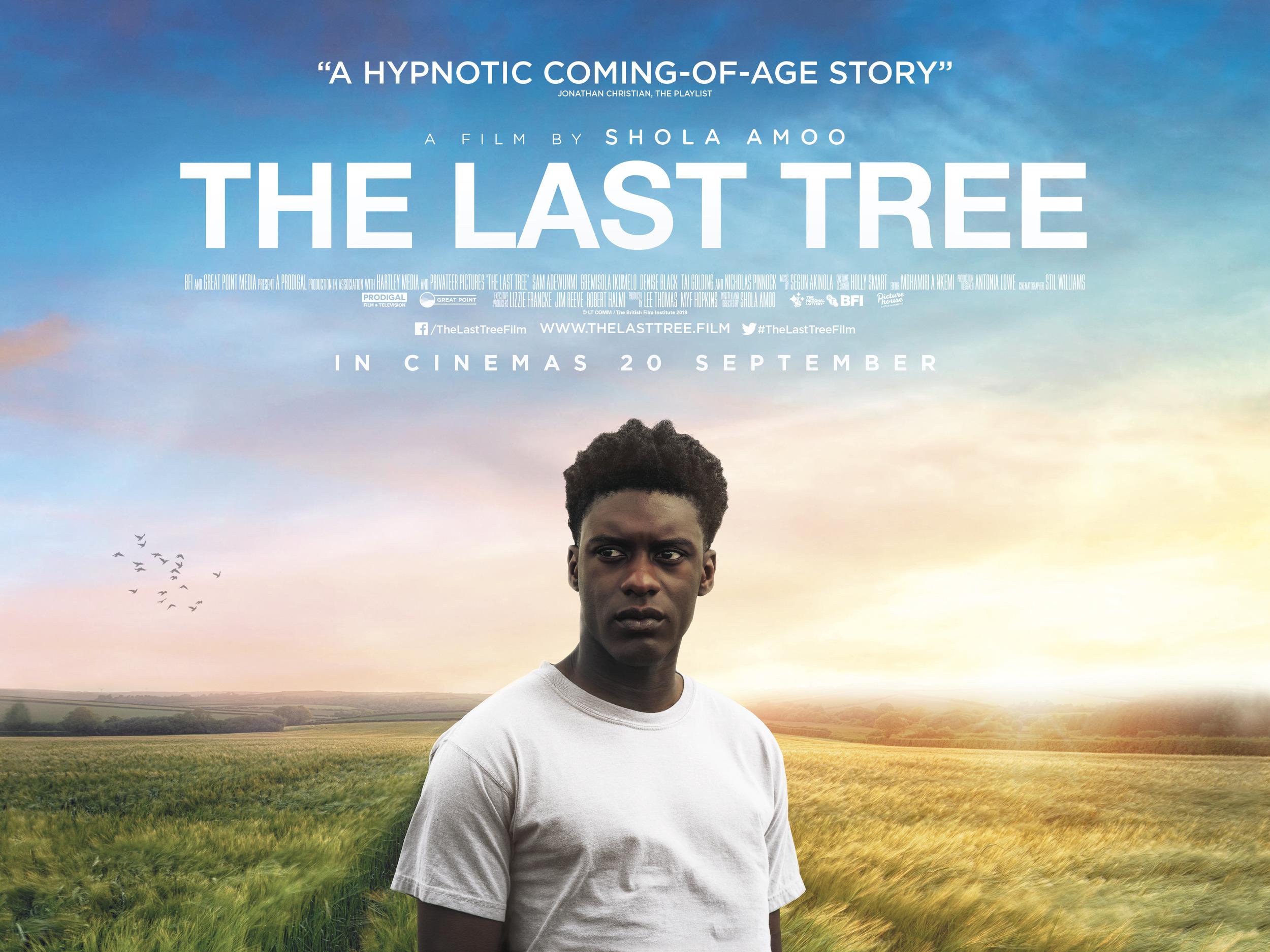 Постер фильма The Last Tree