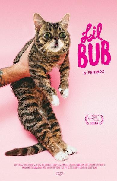 Постер фильма Lil Bub & Friendz