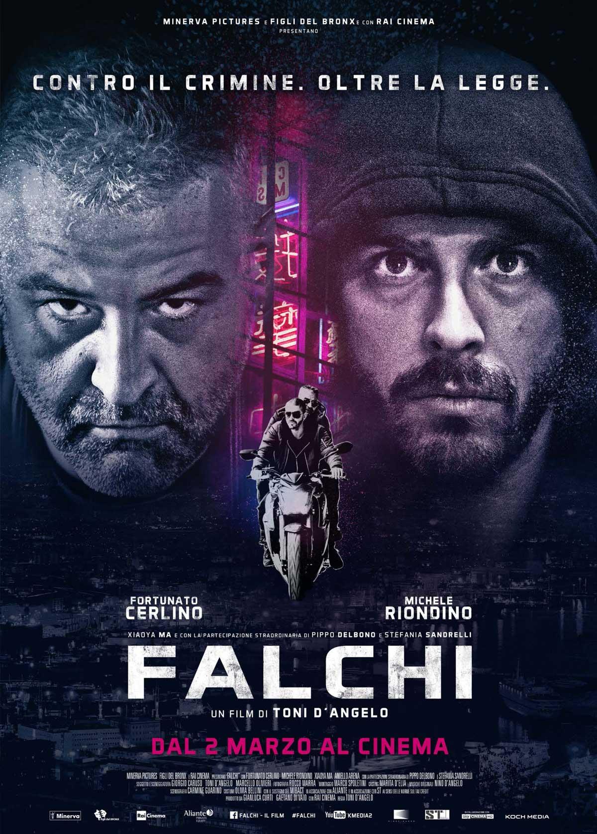 Постер фильма Falchi