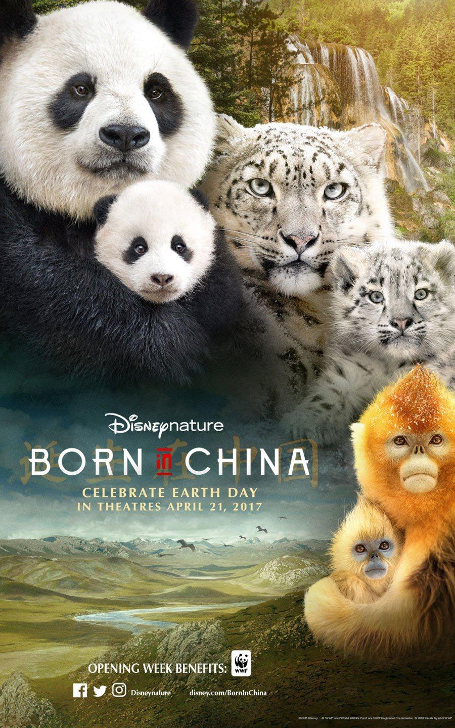 Постер фильма Рождённый в Китае | Born in China 