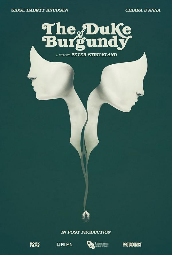 Постер фильма Герцог Бургундии | Duke of Burgundy