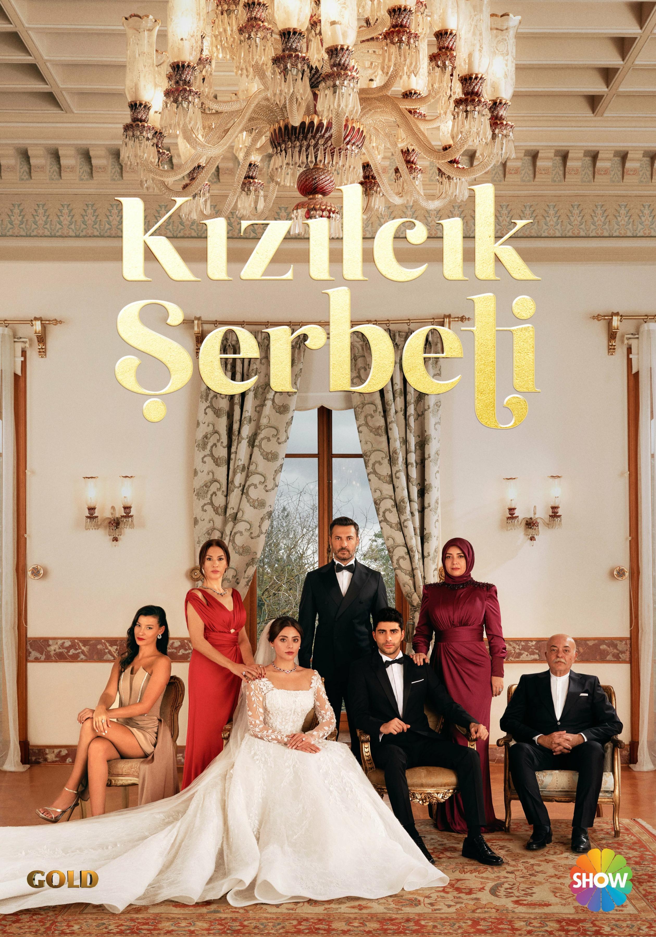 Постер фильма Клюквенный щербет | Kızılcık Şerbeti