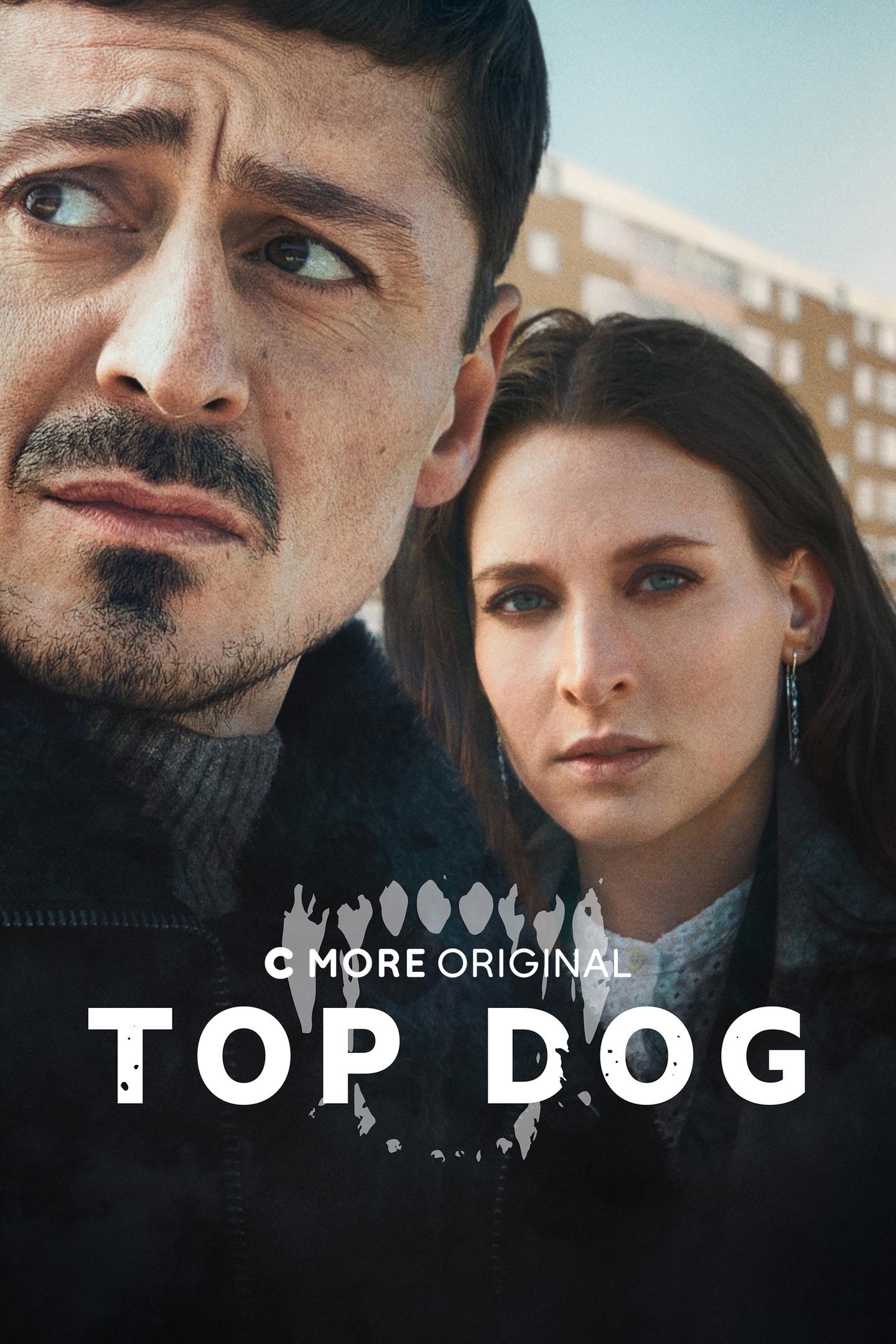 Постер фильма Топ Дог | Top Dog