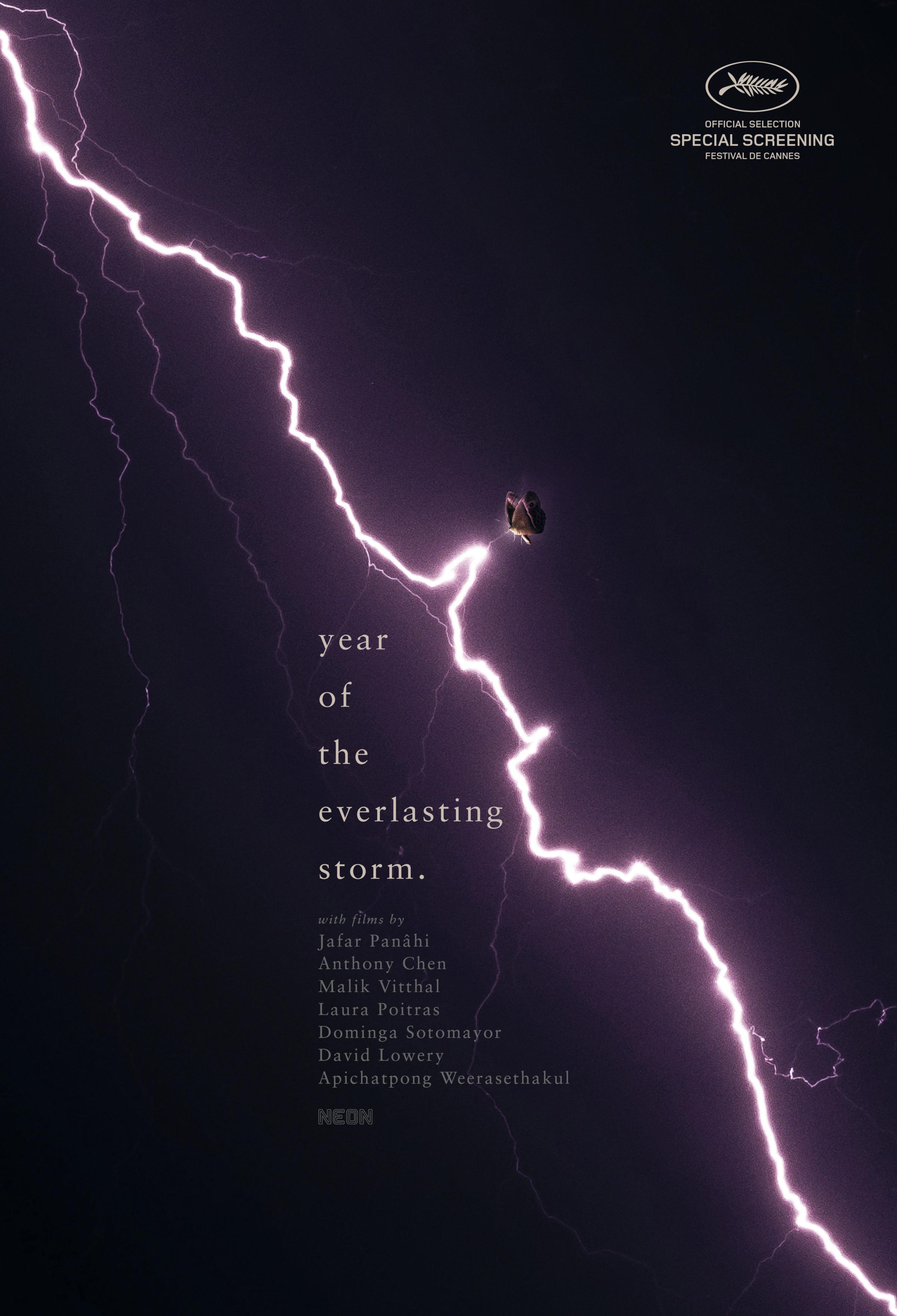 Постер фильма Год вечной бури | The Year of the Everlasting Storm