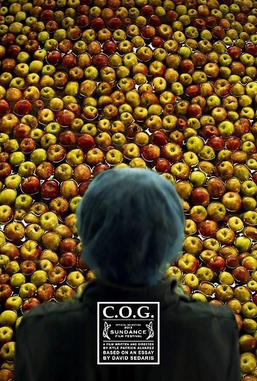 Постер фильма Божье дитя | C.O.G.
