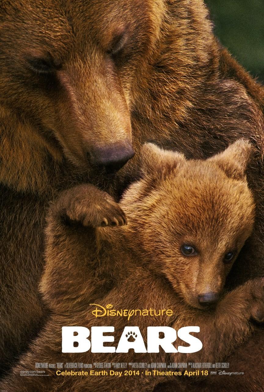 Постер фильма Медведи | Bears