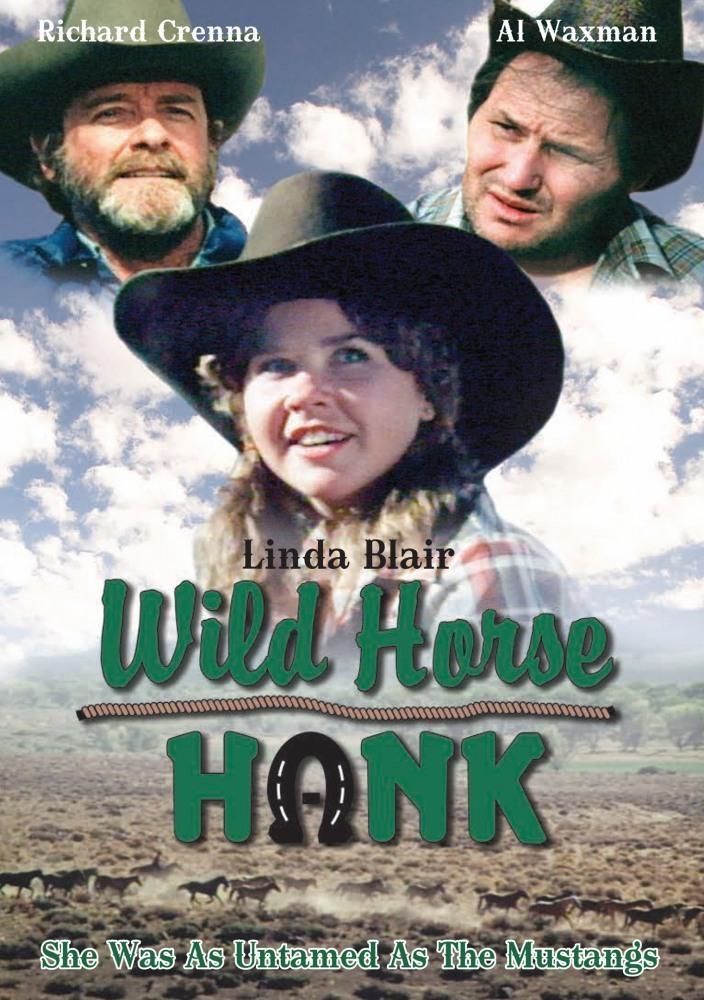 Постер фильма Wild Horse Hank