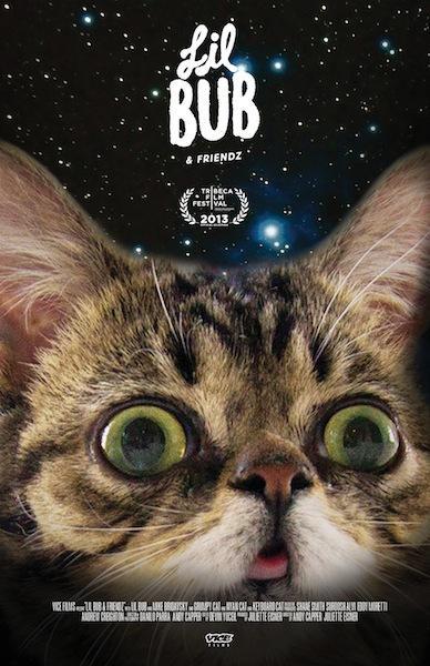 Постер фильма Lil Bub & Friendz